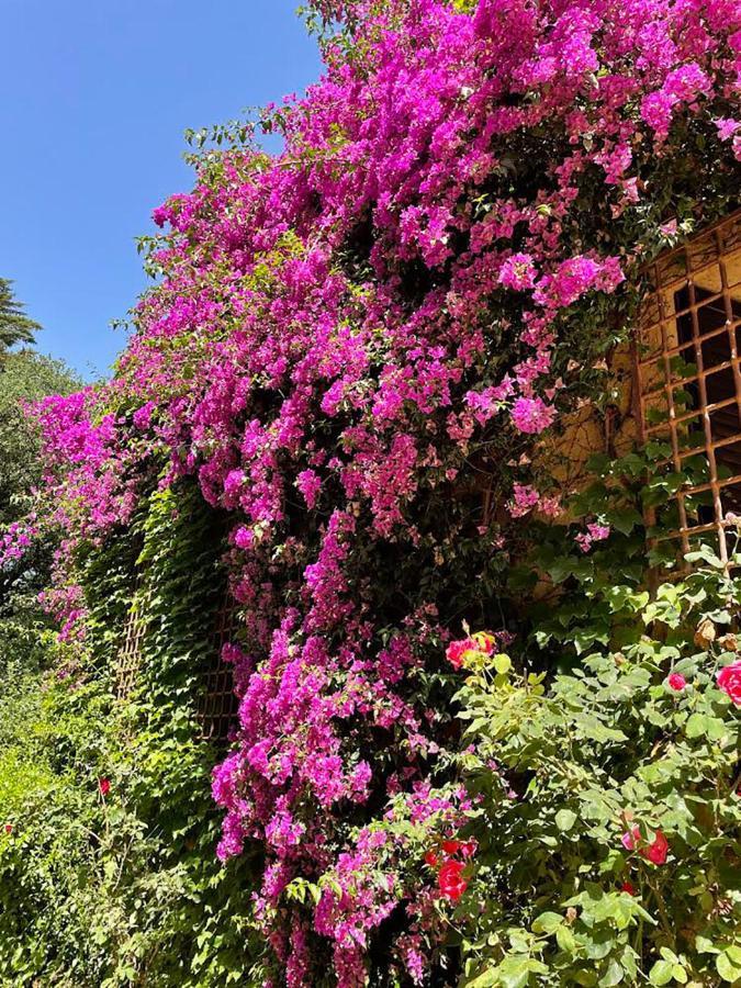 Can Codol De Fluvia - Casita Torroella de Fluvià Exterior foto